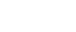 Custom-Solutions-300x126